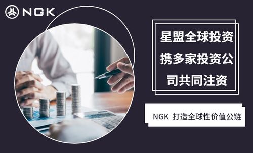 NGK公鏈技術 重塑房地產生態，賦能經濟信息咨詢